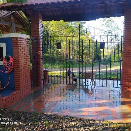 Kitnet Em Meio A Mata Atlantica Juquitiba Kültér fotó