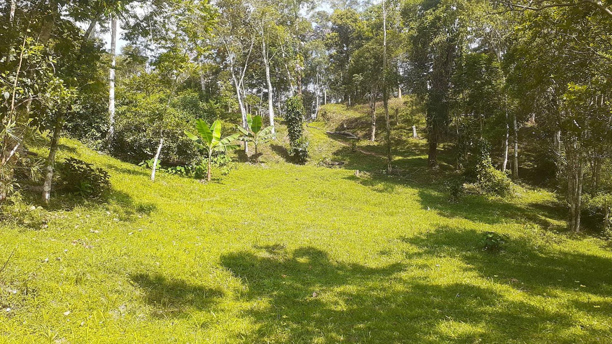 Kitnet Em Meio A Mata Atlantica Juquitiba Kültér fotó