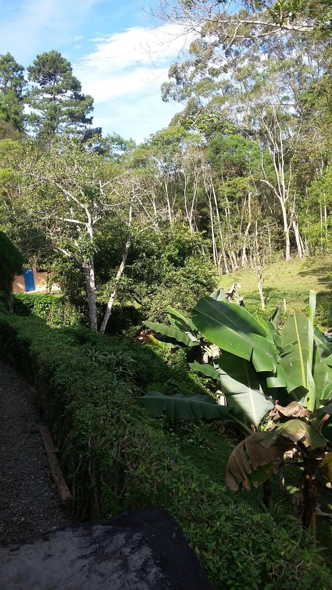 Kitnet Em Meio A Mata Atlantica Juquitiba Kültér fotó