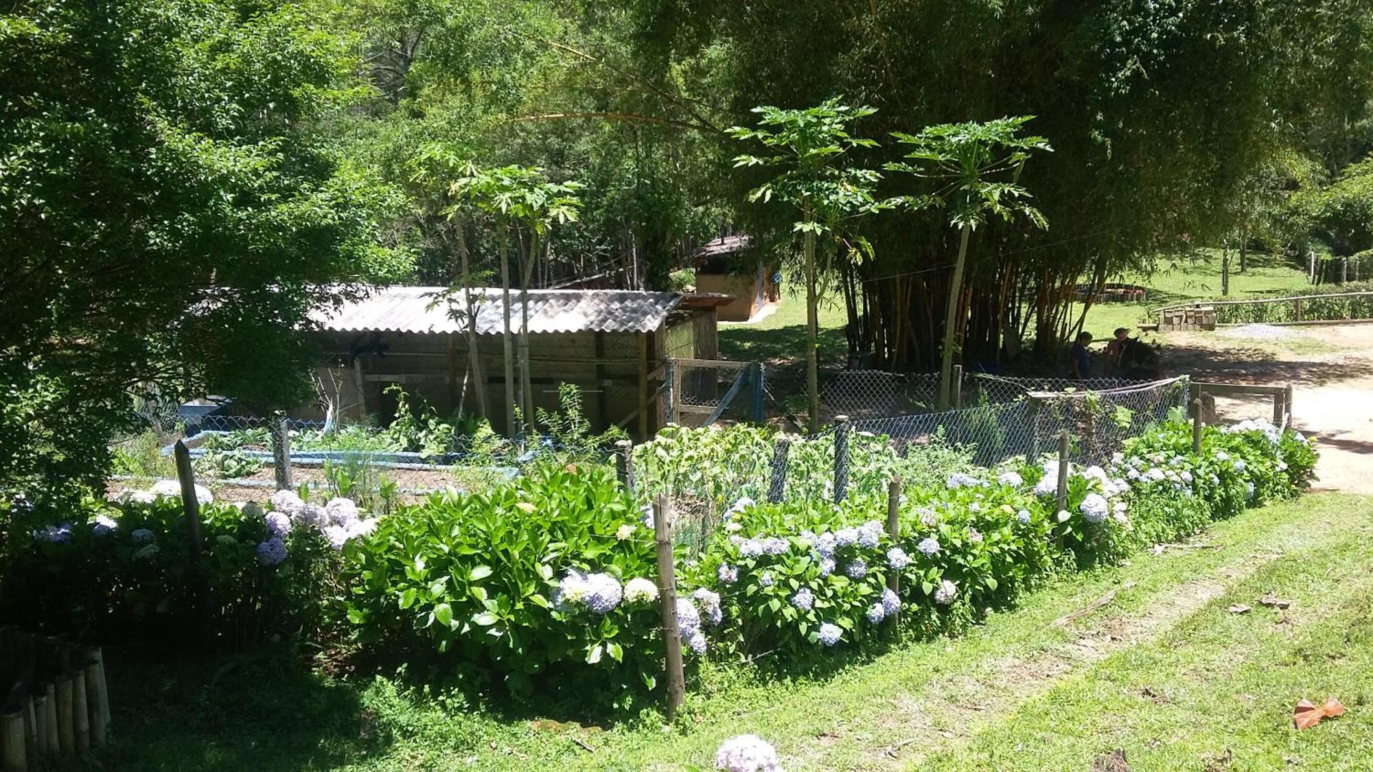 Kitnet Em Meio A Mata Atlantica Juquitiba Kültér fotó